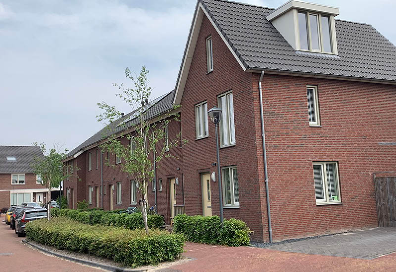 dekoningsvogel4